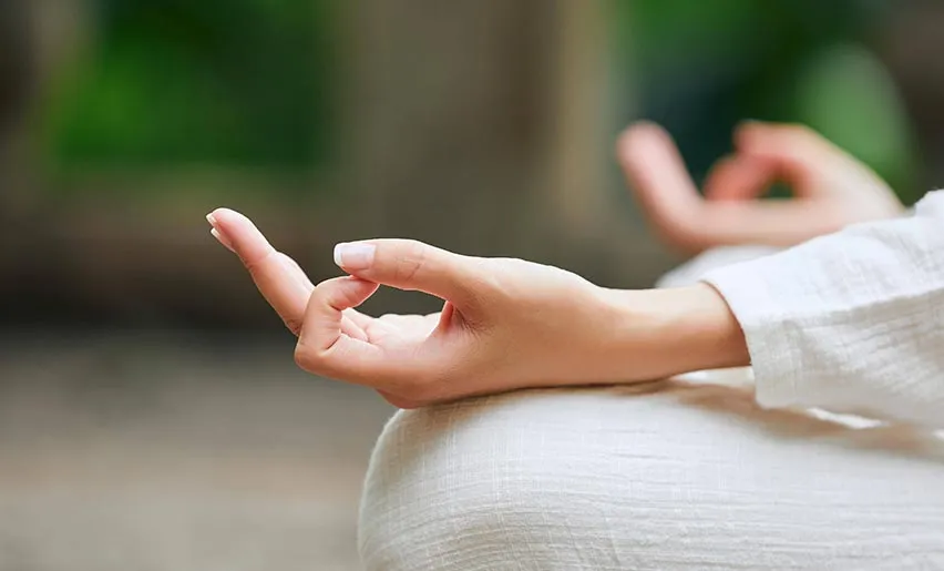Traditional Chinese Medicine Meditation Traditional Chinese Medicine Meditation